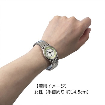 ESRUNA 男女兼用 ナースウォッチ アイゼンコーポレーション