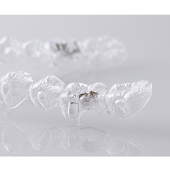 アライナープライヤー FCシリーズ プレミアムプラスジャパン