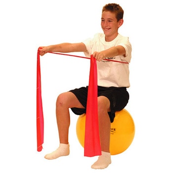 エクササイズボール #SDSシリーズ D&M