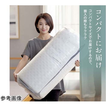 エコラテ エリート 14cm 一枚ものマットレス ELT-14Iシリーズ - 篠原化学