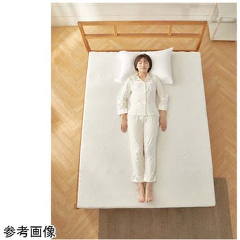 エコラテ エリート 14cm 一枚ものマットレス ELT-14Iシリーズ - 篠原化学