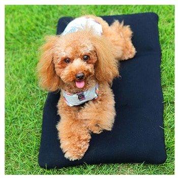 クロッツ わんちゃんパワークール H-015シリーズ ヘルメット潜水