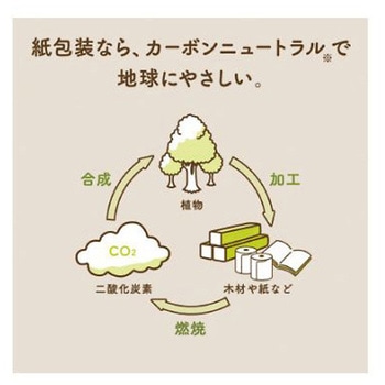 スコッティ カシミヤ ナチュラル 50組 日本製紙クレシア