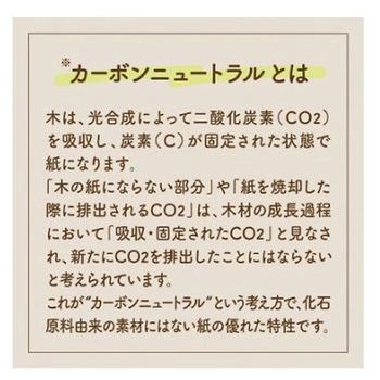 スコッティ カシミヤ ナチュラル 50組 日本製紙クレシア