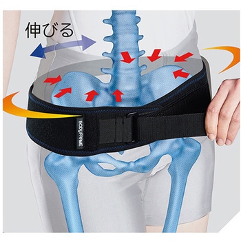 ボディフレーム 骨盤用 パワーフィット 中山式産業