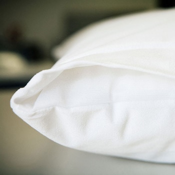 マイクロ-プラッシュ・枕カバー PC-4570シリーズ Conni(コニー)