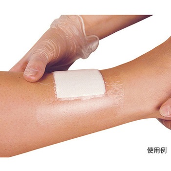 メピテル (R) フィルム 10枚入 - メンリッケ