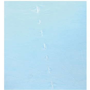 リセラ プラスチックガウン 袖付・エンボス フリーサイズ 10枚入 歯愛メディカル