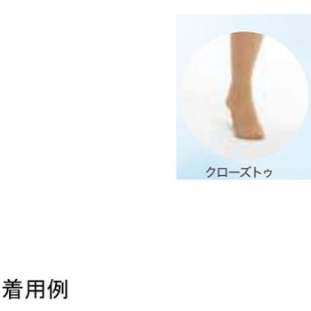 下肢用ストッキング クラスII 23～32mmHg ロングストッキング - 東レ・メディカル