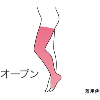 下肢用ストッキング クラスII 23～32mmHg ロングストッキング - 東レ・メディカル