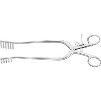 開創器 ウェイトラナー BVシリーズ - ビー・ブラウンエースクラップ