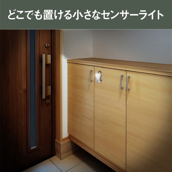 どこでもミニセンサー ライテックス(ムサシ)