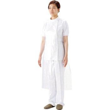 51077 vX`bNGvȂ50 SARAYA(T) |G` 60876917