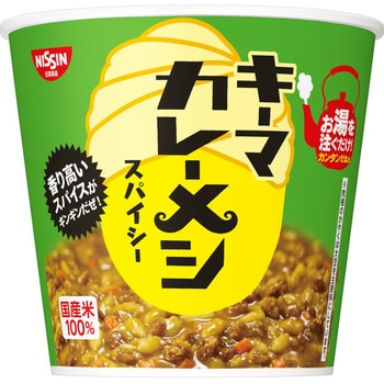 4902105945513 日清食品 キーマカレーメシスパイシー C 105g x6 日清