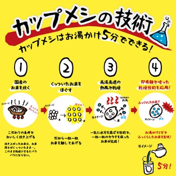 日清食品 キーマカレーメシスパイシー C 105g x6 日清食品
