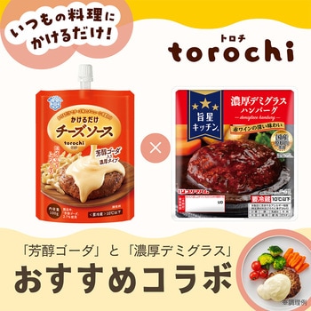 [冷蔵]プリマハム 濃厚デミグラスハンバーグ 5個 雪印メグミルク トロチ torochi チーズソース 芳醇ゴーダ 1個付き スマイルスプーン