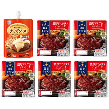 [冷蔵]プリマハム 濃厚デミグラスハンバーグ 5個 雪印メグミルク トロチ torochi チーズソース 芳醇ゴーダ 1個付き スマイルスプーン