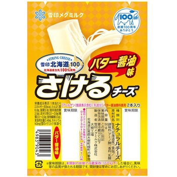 - [①]kC100 `[Y(o^[ݖ) 󃁃O~N 60900510