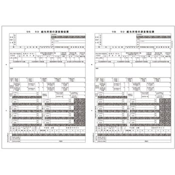 PA1134FA 電子申告用源泉徴収票 R02(100名入) ピーシーエー