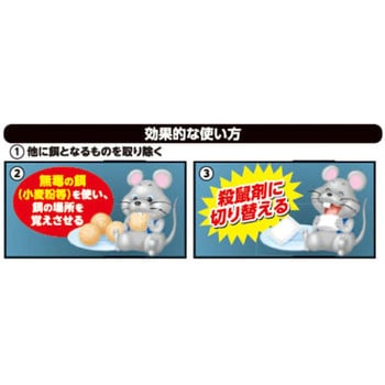 ネオラッテ クイックリー イカリ消毒