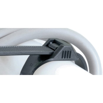 ボタンホールタイ SapiSelco