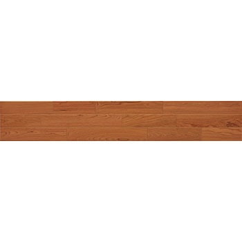 YP62-13-N �G�N�I�X�~���[(WPC����) DAIKEN(��:�匚�H��) 60997027