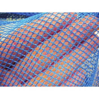 つけかえ用折りたたみ式魚網35cm - あみのエーワン