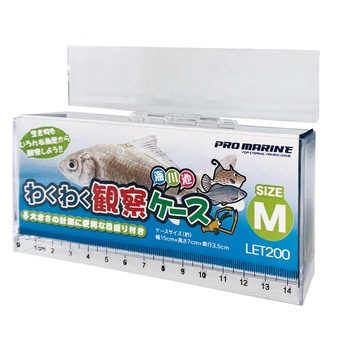 わくわく観察ケース M あみのエーワン