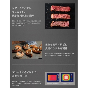 K10A-BK バルミューダ ザ プレート プロ ホットプレート BALMUDA