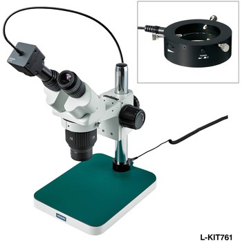 L-KIT761 ���̌�����(PC�p) L-KIT761 �z�[�U�� 61057028