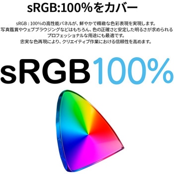 ディスプレイ23.8型/1920×1080/HDMI×1、VGA×1/ブラック/スピーカー有/2年保証 JAPANNEXT