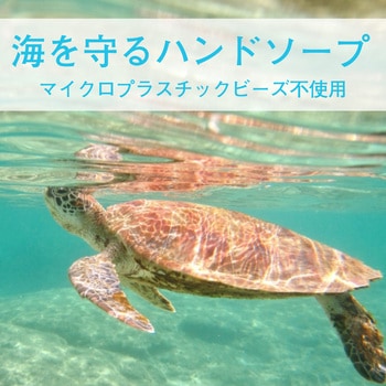 スクラビンN SARAYA(サラヤ)