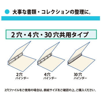 RE-143RW-10P(87442) 2ポケット (2・4・30穴共用) プラス(文具) A4-S 1