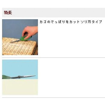 160mm はさみ・クラフト 反り刃・ステンレス製 エスコ