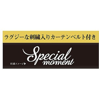500x390mm カーテン 車用/S/2枚入 エスコ
