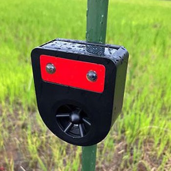 65x 30x 80mm 害獣忌避装置 フラッシュ・超音波 エスコ