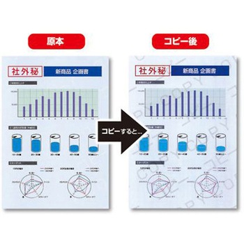 A4/100枚 コピー偽造防止用紙 個人情報保護 エスコ