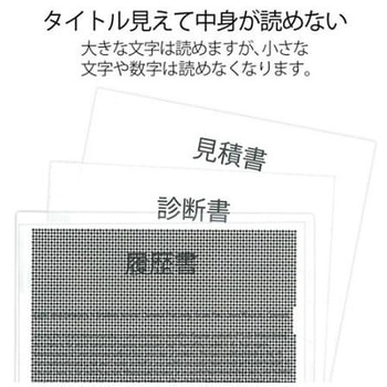 A4/310x220mm セキュリティホルダー クリアー エスコ