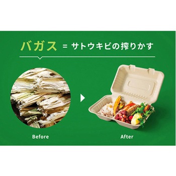 ABバガスランチ180-130フードパック 白色 50枚×12パック入 パックスタイル