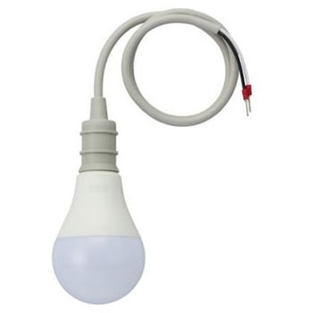 AC100-200V/19W/電球/LED ソケット一体型 エスコ