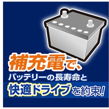 AC100V 自動充電器 オートバイ/小型車用 エスコ