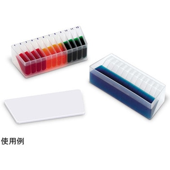 Dual Solution デュアルリザーバー 1個×25個入 Thermo Fisher Scientific