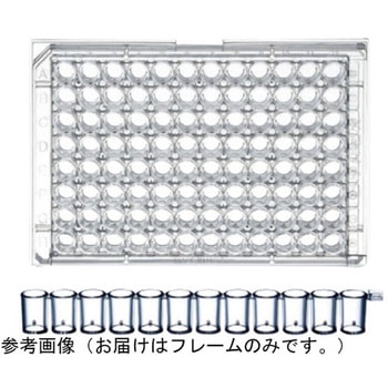 Immulon(TM) モジュールプレート用フレーム 1箱 10個入 Thermo Fisher Scientific