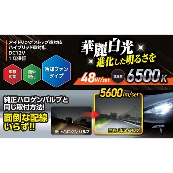 LEDヘッドライトバルブ 6500K 5600lm H4 アセントワールド