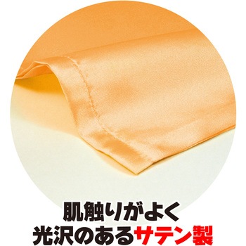 サテン大旗 Φ12mm アーテック[学校教材・教育玩具]