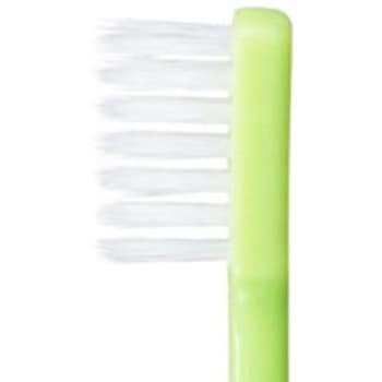 デンタル歯ブラシ 先細植毛 1800本入 DAITO