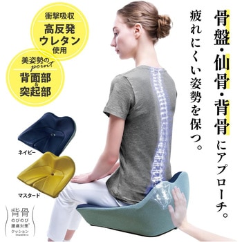 背骨のびのび腰痛対策クッション コジット