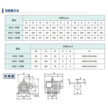 メタルハライドランプ対応 集魚灯用発電機 6KW - マリンテック