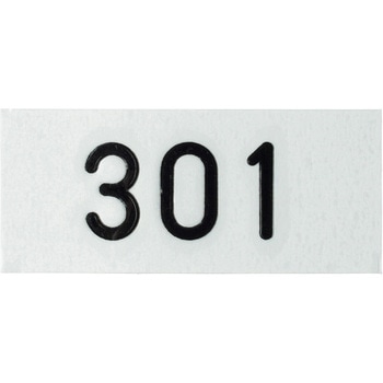 301 �t�@�X�J�������D�pNo.�V�[�� ACE(�G�[�X) ���F �r�j�[���t�B������ 61181759