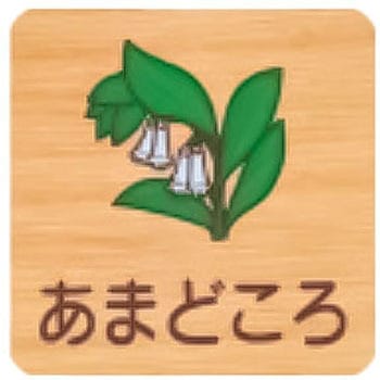 平付型木製サイン 400番台(草花) フジタ[室名札・標識]